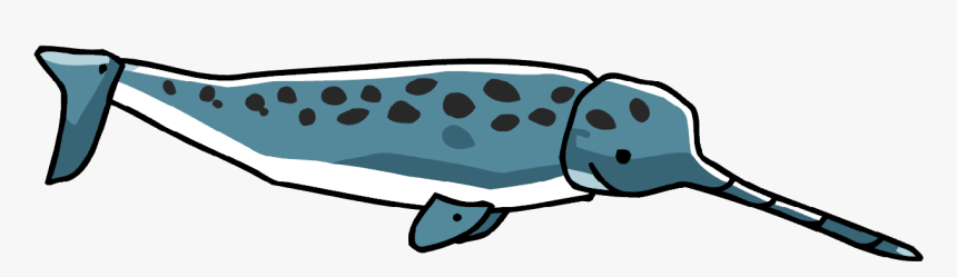 Narwhal, HD Png Download, Free Download