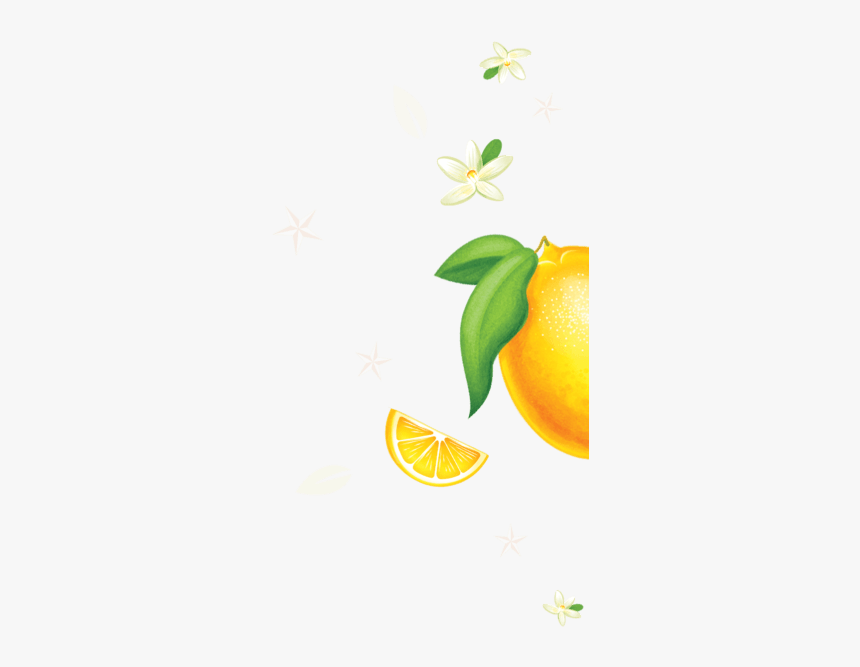 Tangerine, HD Png Download, Free Download