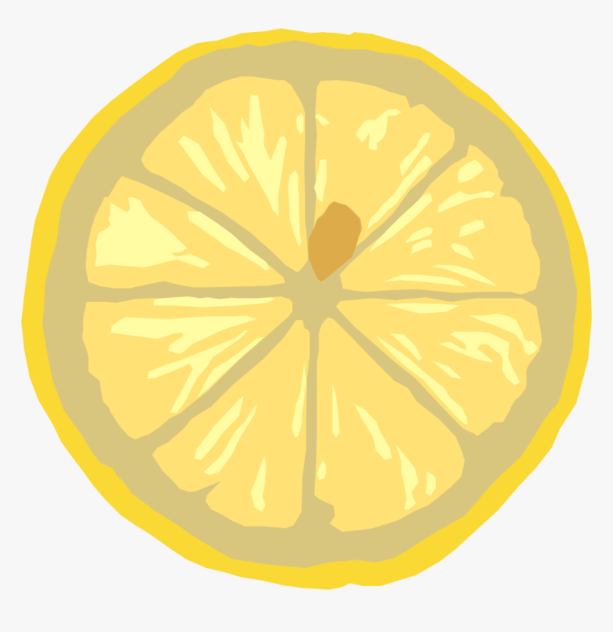 Cross Section Of A Lemon, HD Png Download, Free Download