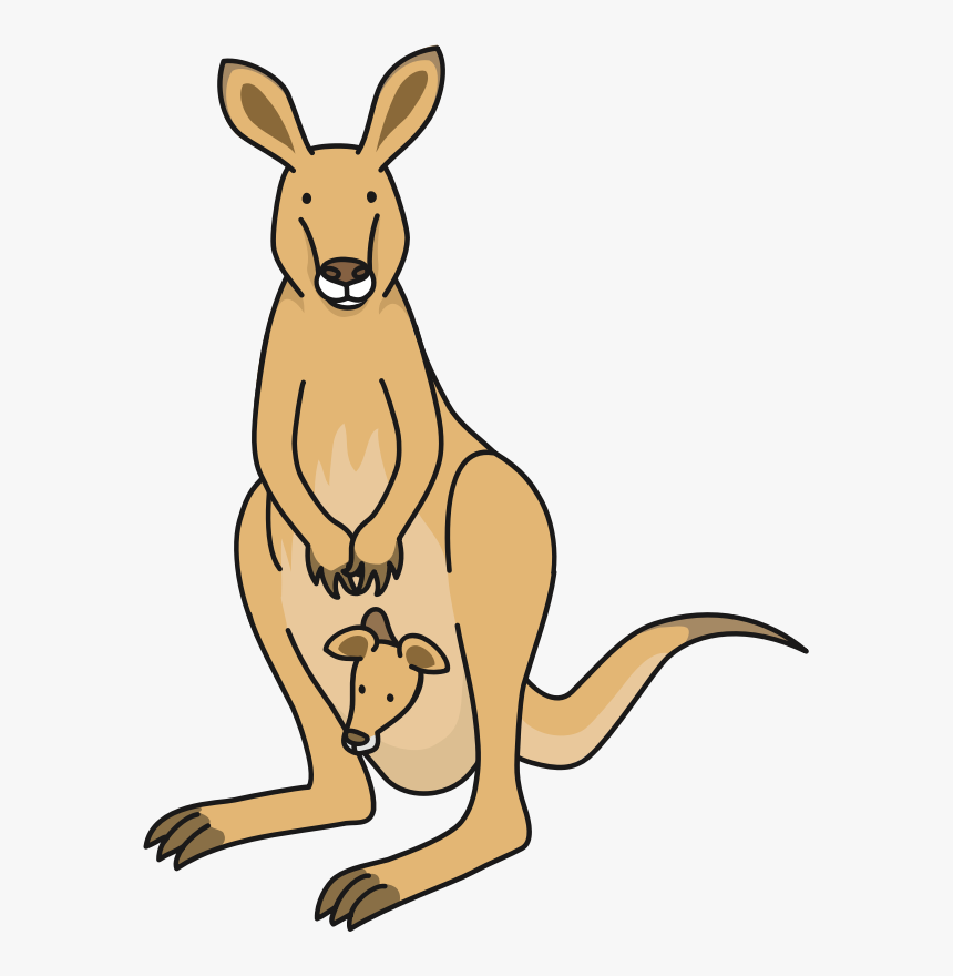 Kangaroo - Clipart Kangaroo, HD Png Download, Free Download