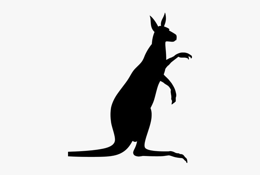 Kangaroo Standing Png Vector - Kangaroo, Transparent Png, Free Download
