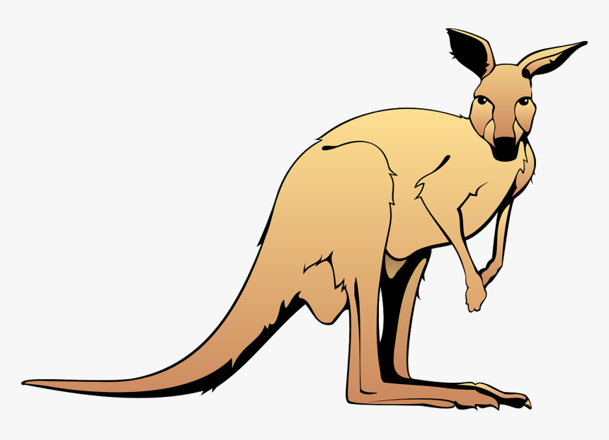 Kangaroo Clipart, HD Png Download, Free Download