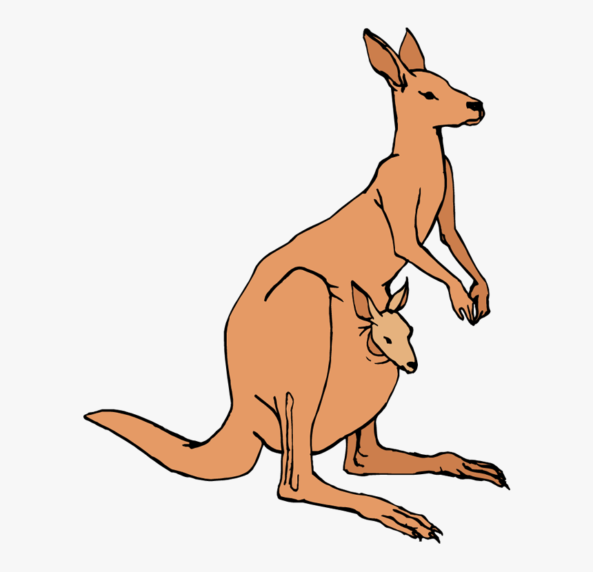 Jumping Kangaroo Clipart Free - Transparent Background Kangaroo Clip Art, HD Png Download, Free Download