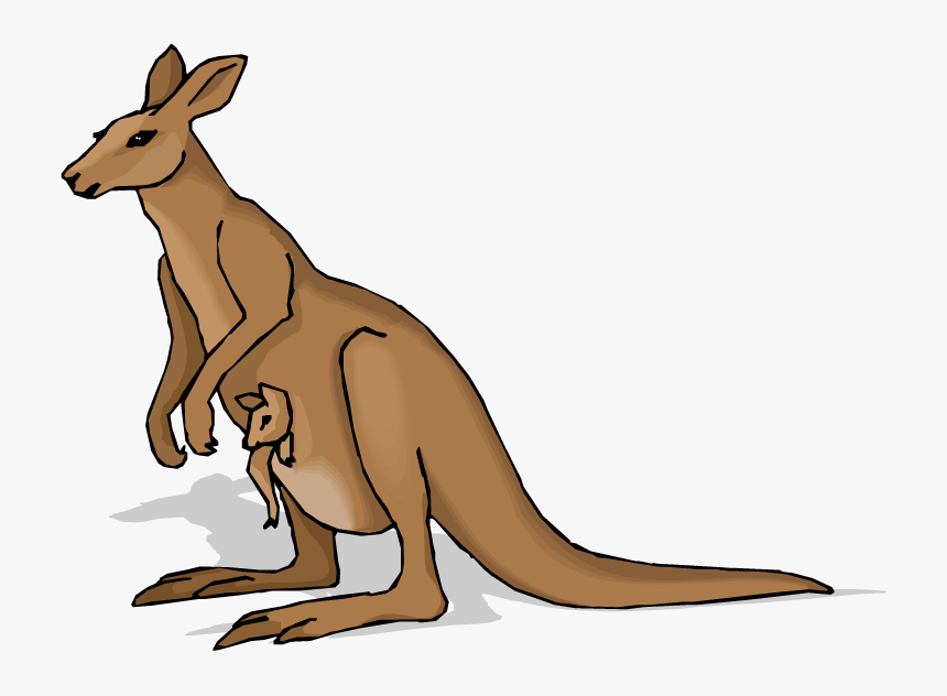 Kangaroo Clipart Free Clipart Images - Chronological Report About Kangaroos, HD Png Download, Free Download