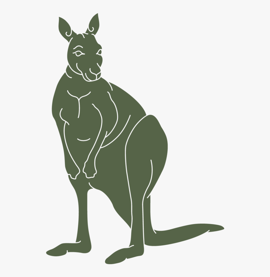 Kangaroo, HD Png Download, Free Download