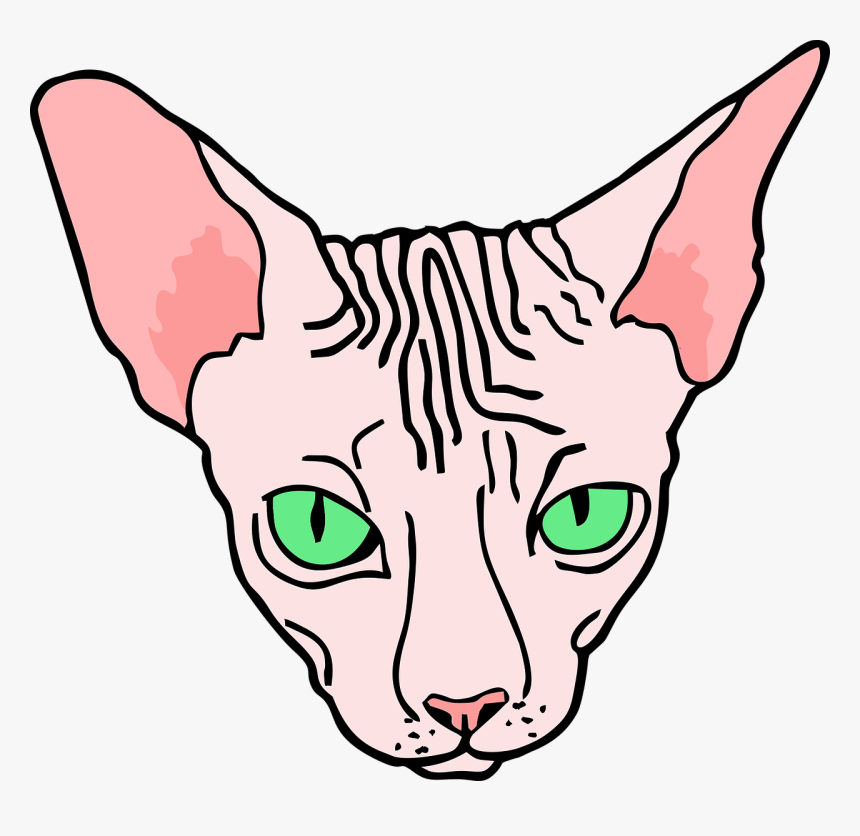 Angry, Sphynx, Sphinx, Cat, Pet - Sphinx Cat Line Drawing, HD Png Download, Free Download