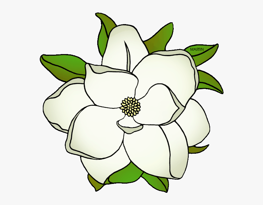 Louisiana State Flower - Mississippi State Flower Drawing, HD Png Download, Free Download