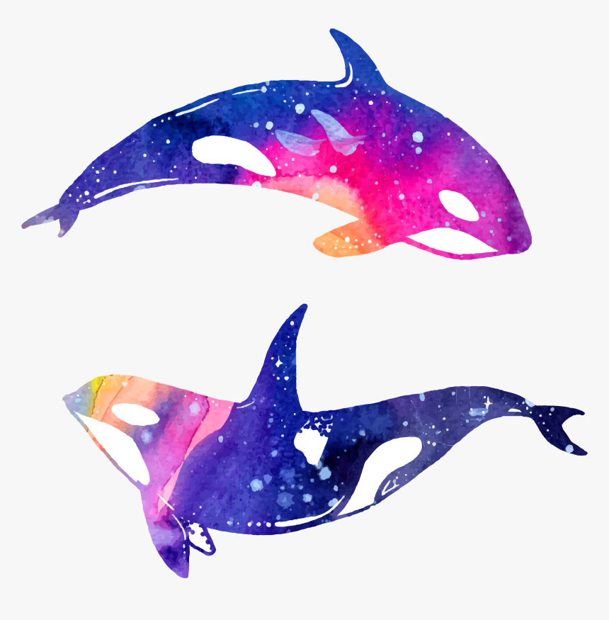 Dolphin Clipart Png - Dolphins Clipart, Transparent Png, Free Download