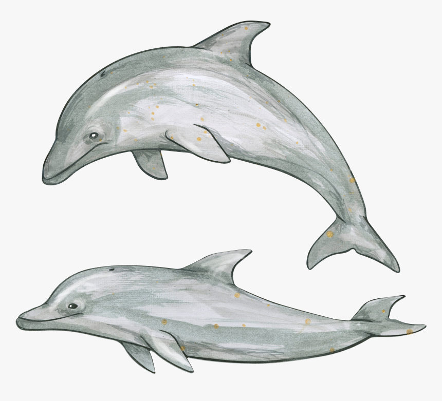 Dolphin Png - Дельфины Png, Transparent Png, Free Download