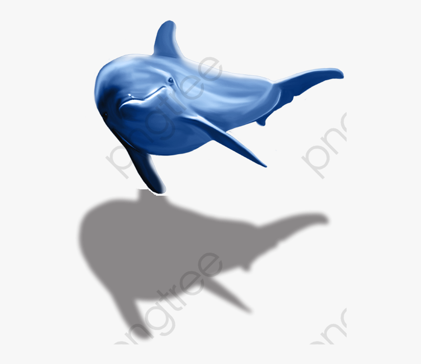 Transparent Dolphins Clipart - Dolphin Png, Png Download, Free Download