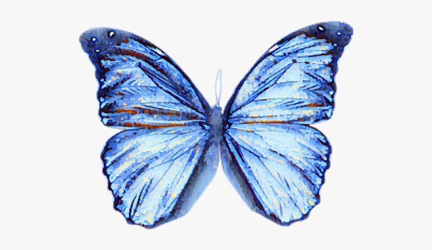 #butterfly #blue #watercolour #blur #effect - Butterfly Blue Transparent Watercolor, HD Png Download, Free Download