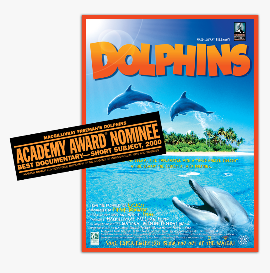 Macgillivray Freeman Dolphins - Dolphins Movie, HD Png Download, Free Download