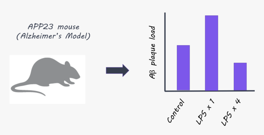 Micropic, HD Png Download, Free Download