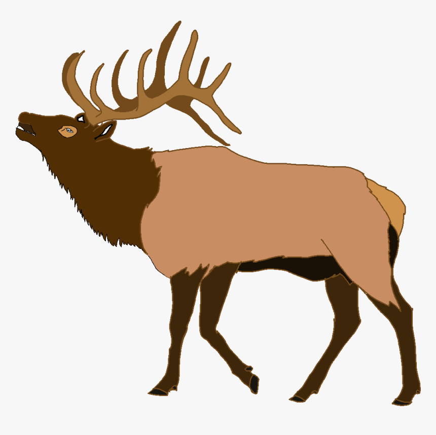 Elk Deer Clip Art - Elk Clipart, HD Png Download, Free Download