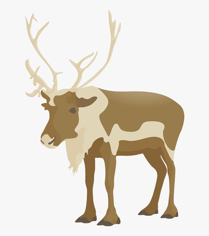 Flat Deer Vector - Elk, HD Png Download, Free Download