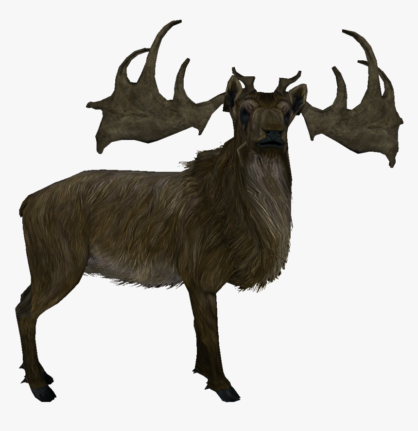 Elk - Skyrim Deer Png, Transparent Png, Free Download