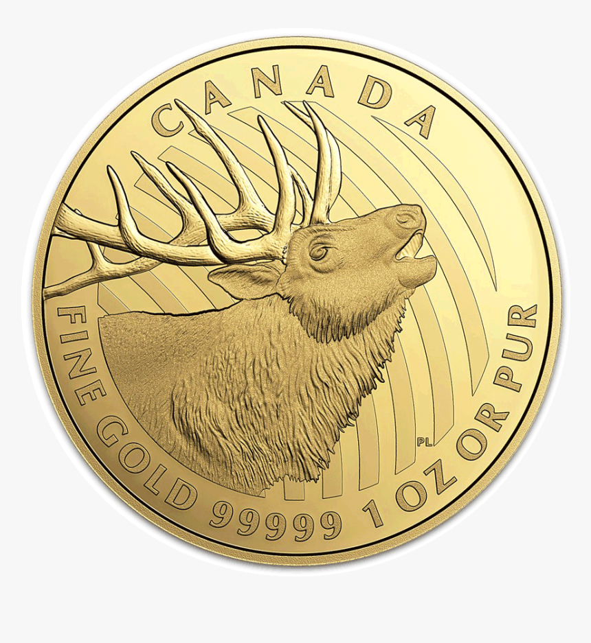 Elk Gold Rev - Gold Coin, HD Png Download, Free Download