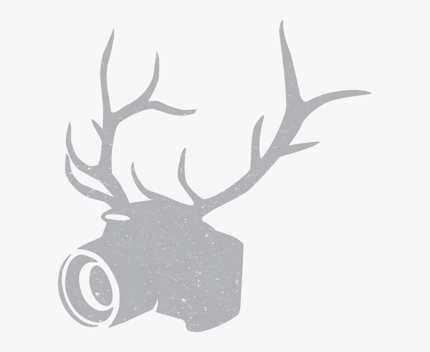 Elk, HD Png Download, Free Download