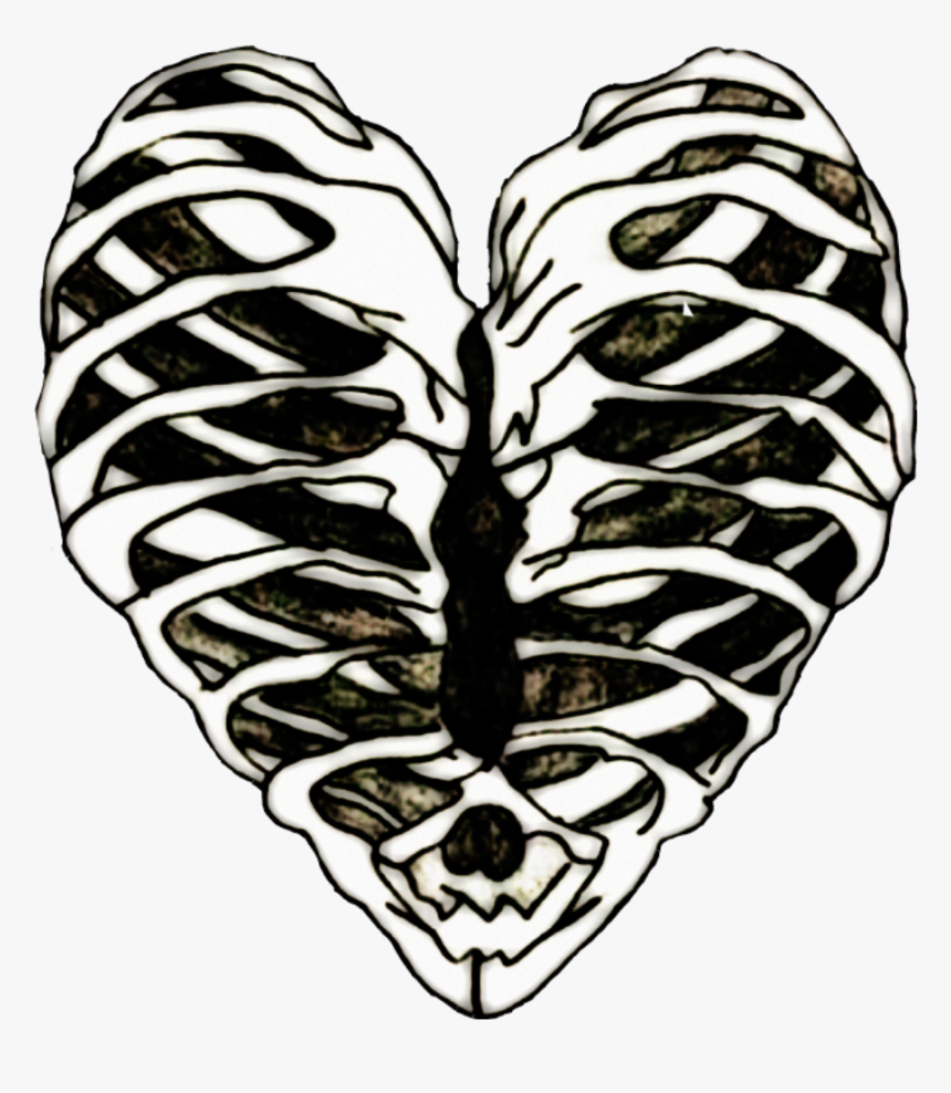 Edits Ribs Ribcage Heart Bones Art Stickers - Imagenes Dark Tumblr Png, Transparent Png, Free Download