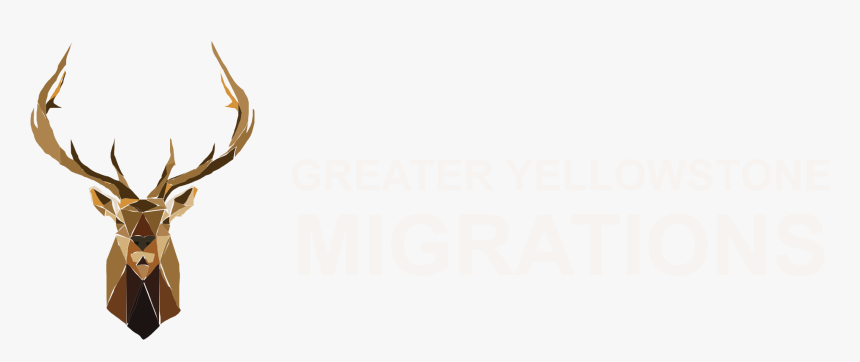 Greater Yellowstone Migrations - Elk Logo, HD Png Download, Free Download