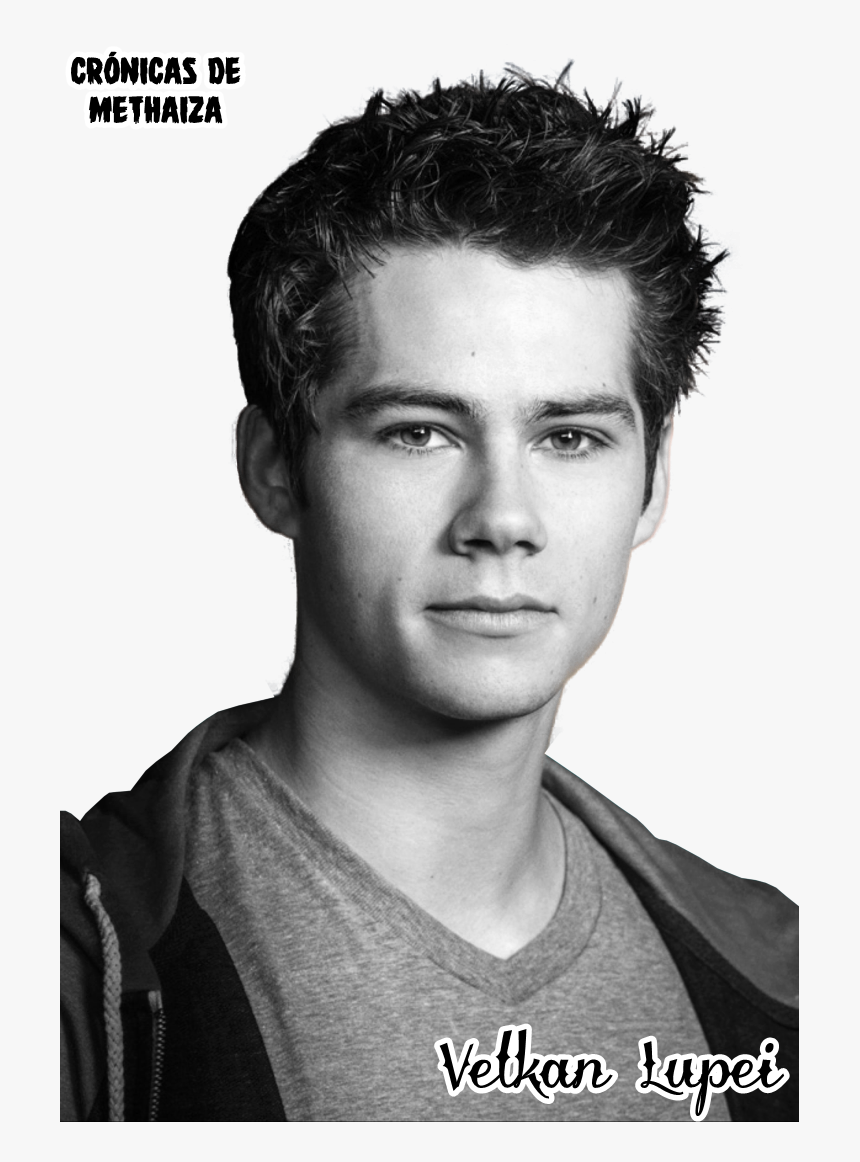 Transparent Tyler Posey Png - Dylan O Brien, Png Download, Free Download