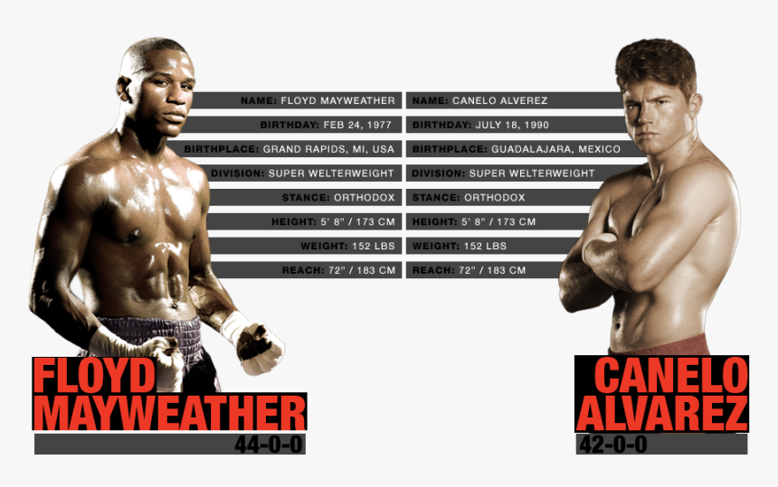 Fighter Stats, HD Png Download, Free Download