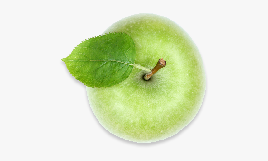 Green Apple, Americas Breakroom - Green Apple Png Top View, Transparent Png, Free Download