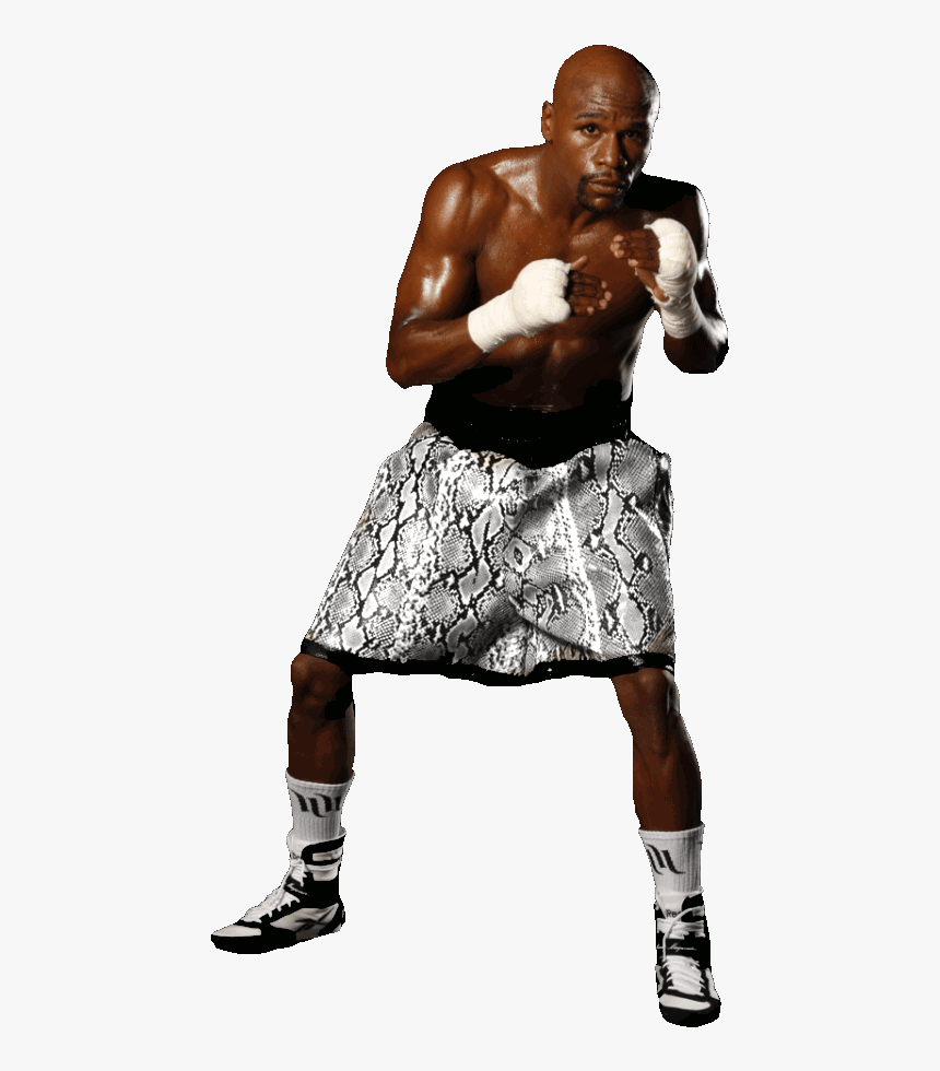 Transparent Floyd Mayweather Png - Professional Boxing, Png Download, Free Download