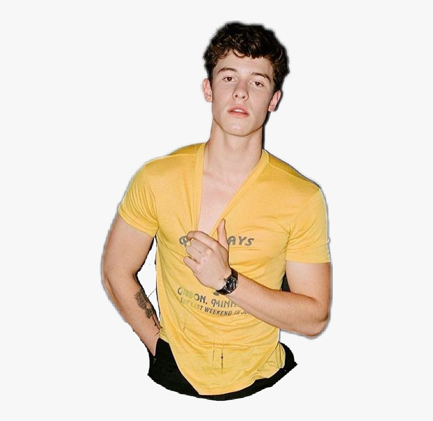 Shawn Mendes Tumblr Hd , Png Download - Aesthetic Stickers Shawn Mendes, Transparent Png, Free Download