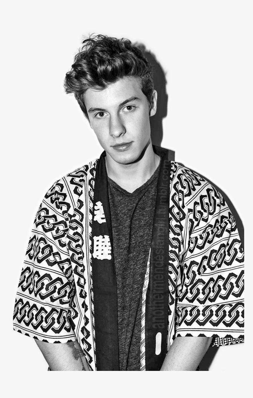 Shawn Mendes, HD Png Download, Free Download