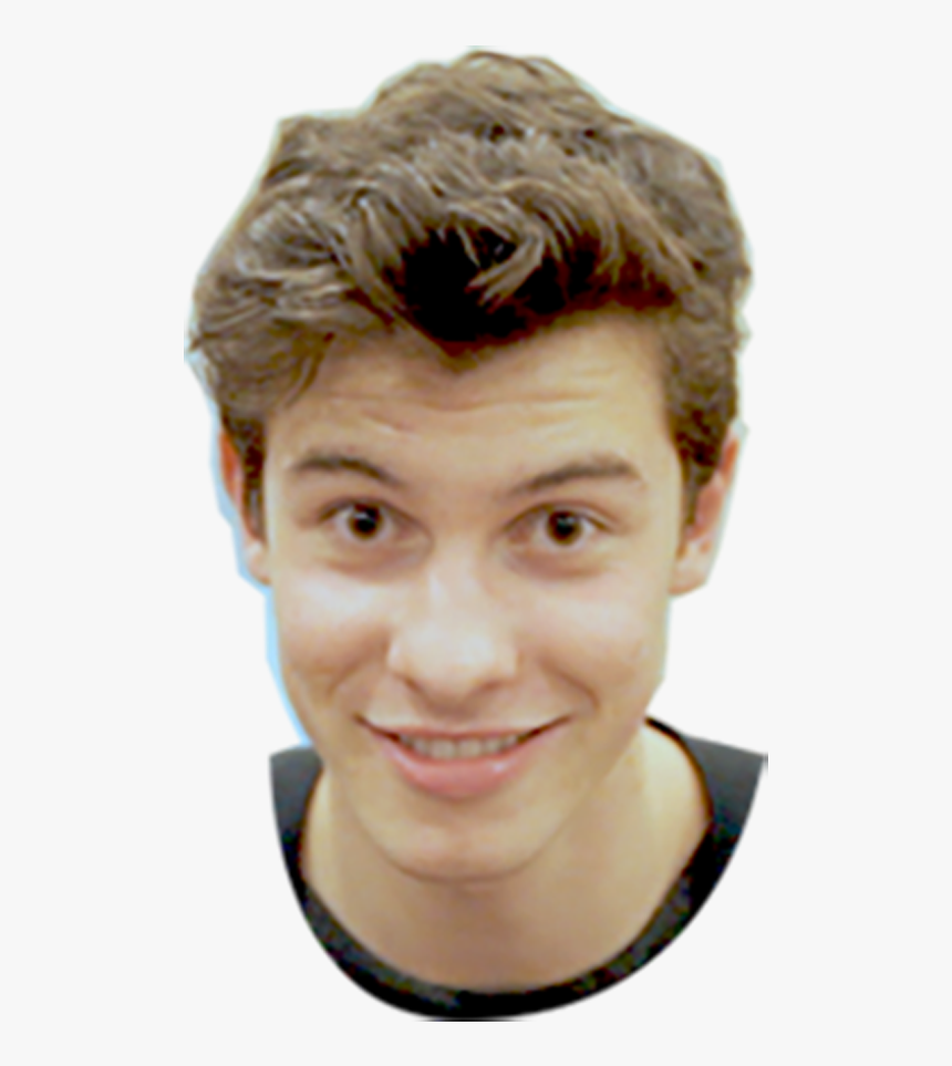 Shawn Mendes Face Png , Png Download - Shawn Mendes Face Png, Transparent Png, Free Download