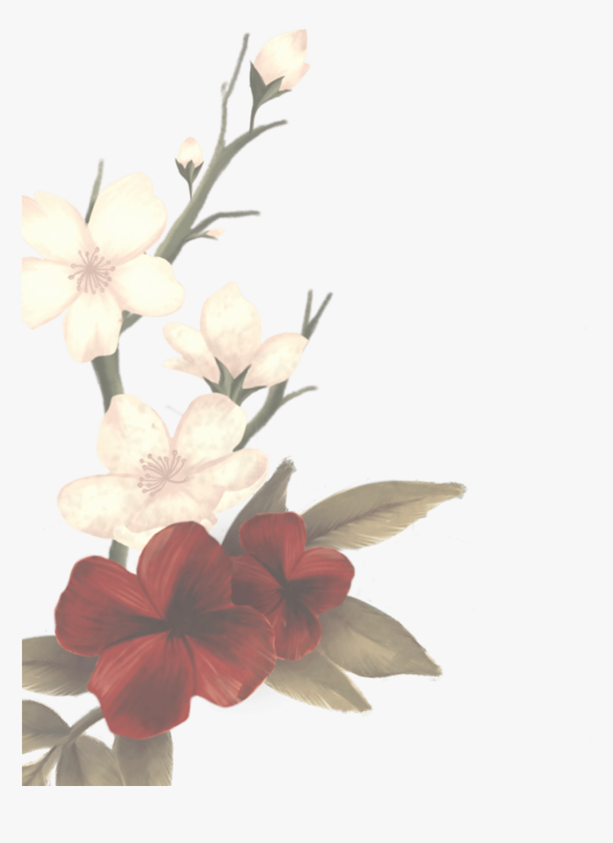 Transparent Shawn Mendes Logo Png - Shawn Mendes The Album Flowers, Png Download, Free Download