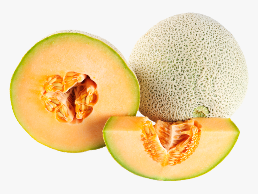 Melon Png - Cantaloupe Png, Transparent Png, Free Download