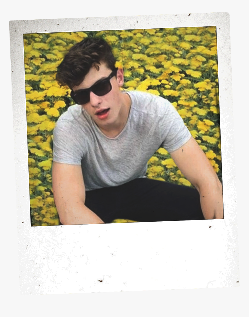 I Made This Polaroid Shawn Edit It Took Forever To - Imagen Polaroid De Shawn Mendes, HD Png Download, Free Download