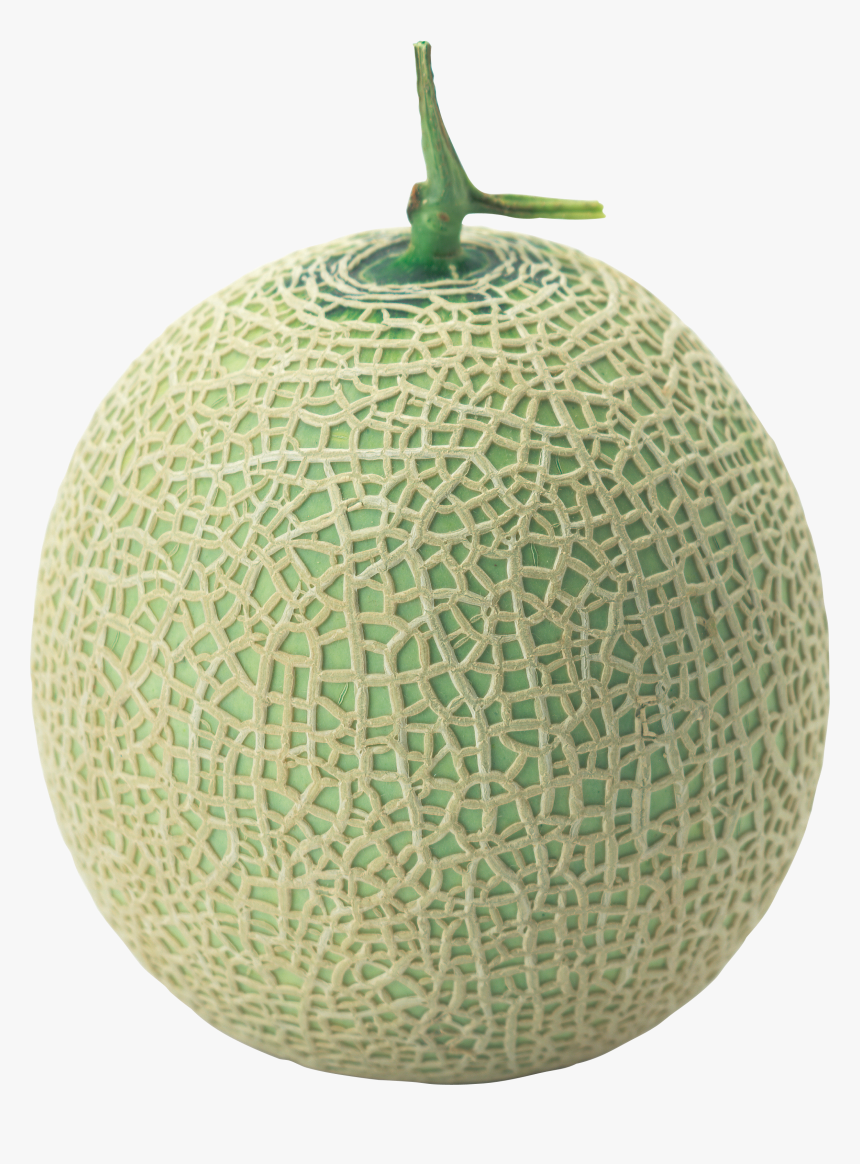 Melon Png, Transparent Png, Free Download