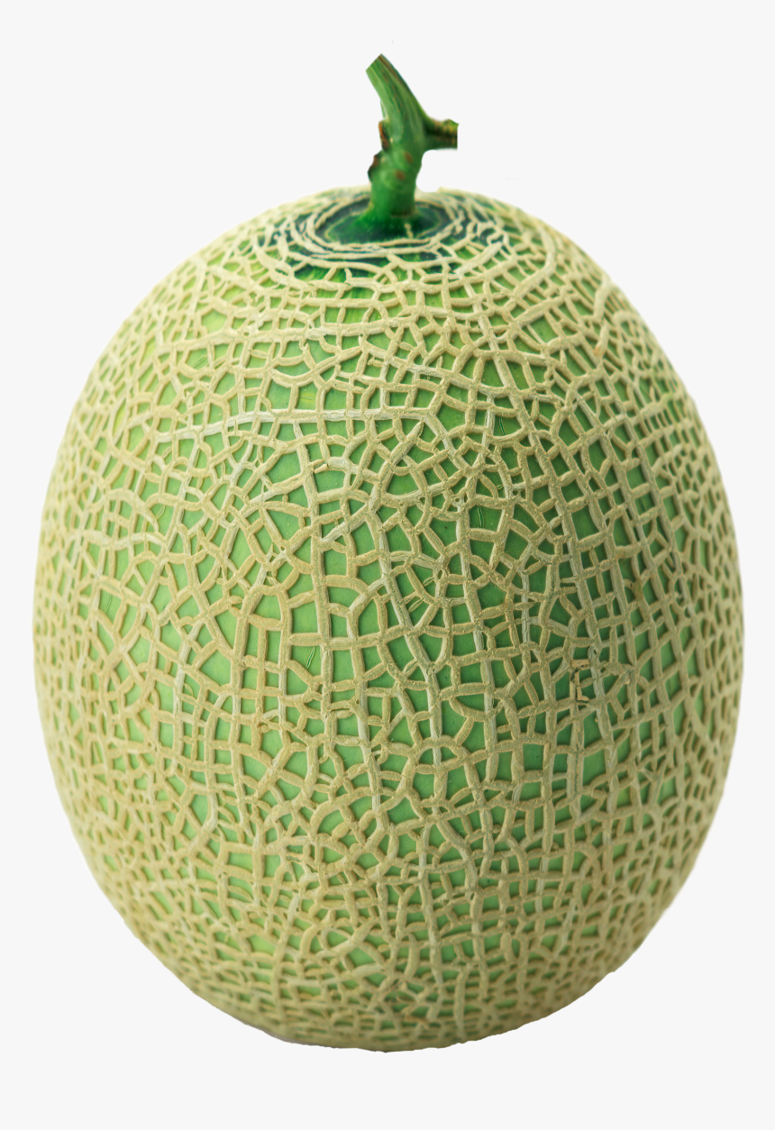 Melon Green - Melon Png, Transparent Png, Free Download