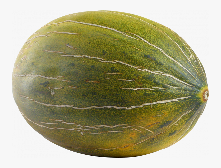Download This High Resolution Melon Transparent Png - Melon Transparent, Png Download, Free Download