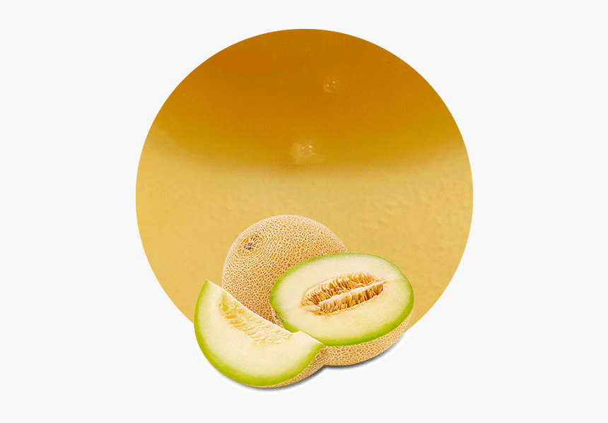 Images In Collection Page - Honeydew, HD Png Download, Free Download
