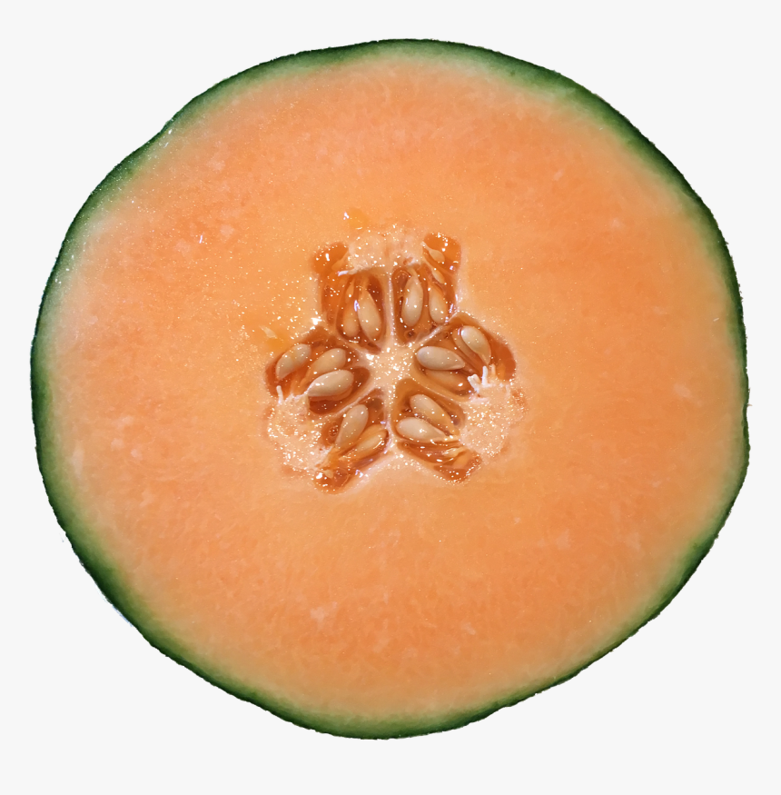 Cantaloupe In Transparent Background, HD Png Download, Free Download