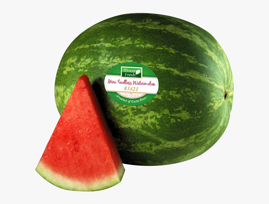 Watermelon Png Transparent Images - Watermelon Clip Art, Png Download, Free Download