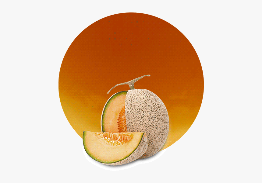 Honeydew, HD Png Download, Free Download