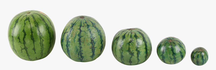 Melon Png, Transparent Png, Free Download