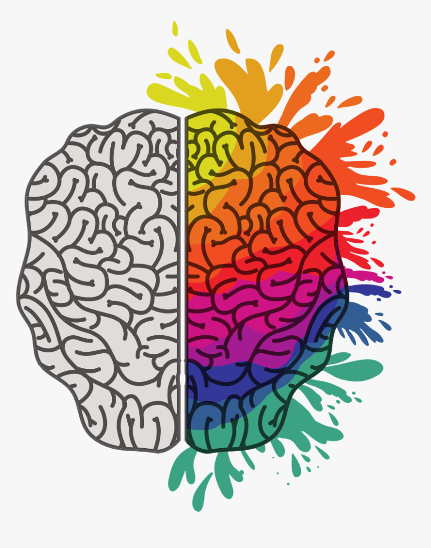 Полушария мозга. Разноцветный мозг. Векторный мозг. Мозг векторное изображение.
