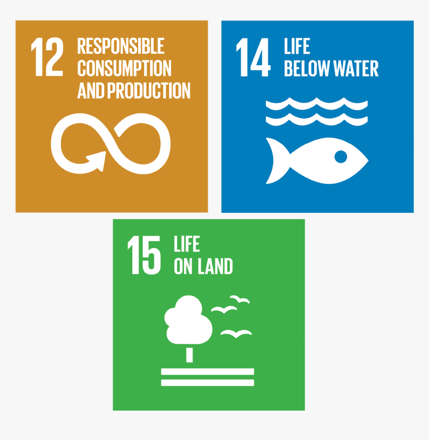 Transparent Ubs Logo Png - Un Sustainable Development Goal 12, Png Download, Free Download
