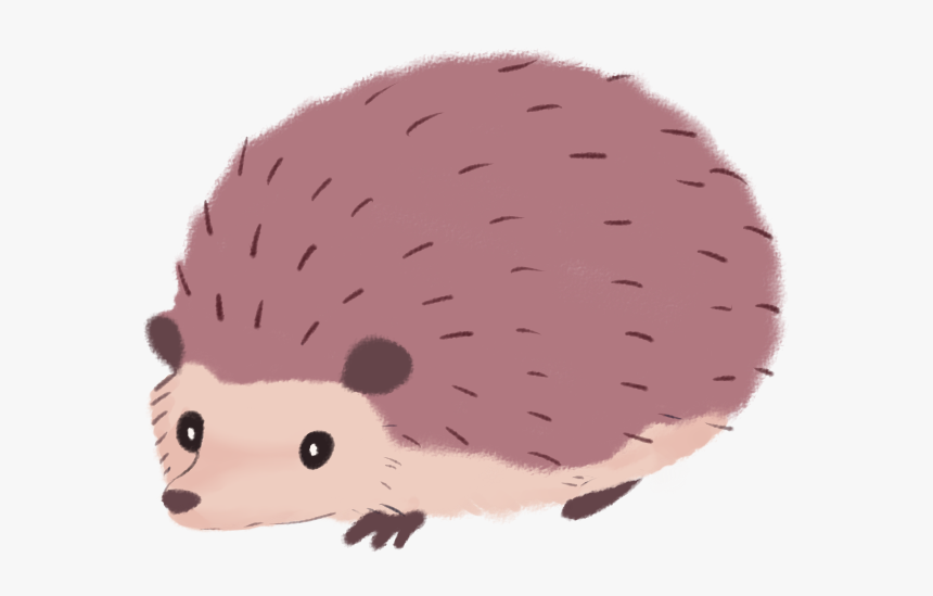 Download Hedgehog Png Transparent Images Transparent - Clipart Hedgehog Transparent Background, Png Download, Free Download