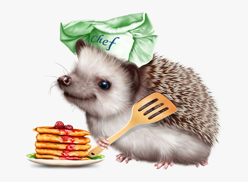 6314590 Hedgehog And Pancakes12 Hedgehog, Tube, Clip - Hedgehog Pancake, HD Png Download, Free Download