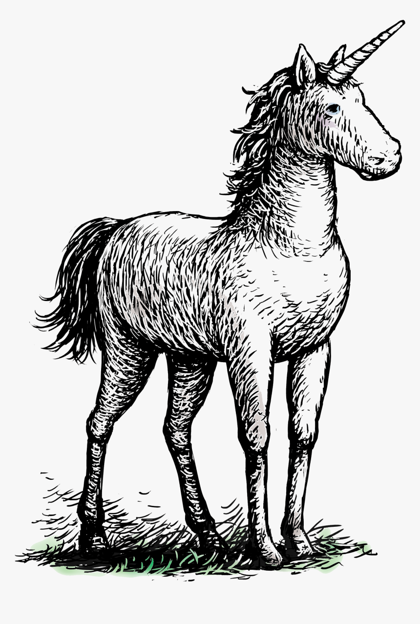 Mane, HD Png Download, Free Download