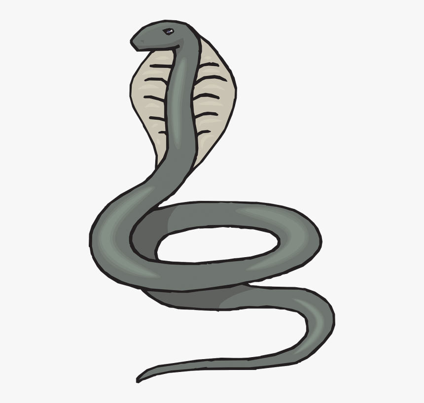 Head Snake Gray Cobra Raised Swirl Reptile - Transparent Background Snake Clipart, HD Png Download, Free Download