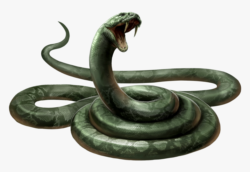 King Cobra Png Photo Background - Nagini Harry Potter, Transparent Png, Free Download