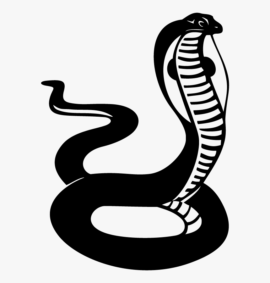 Transparent King Cobra Png - Cobra Snake Clipart Black And White, Png Download, Free Download